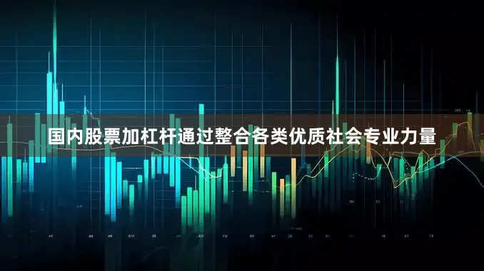 国内股票加杠杆通过整合各类优质社会专业力量