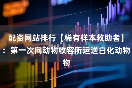 配资网站排行【稀有样本救助者】：第一次向动物收容所运送白化动物