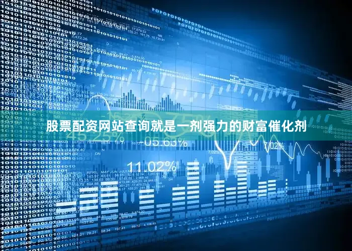 股票配资网站查询就是一剂强力的财富催化剂