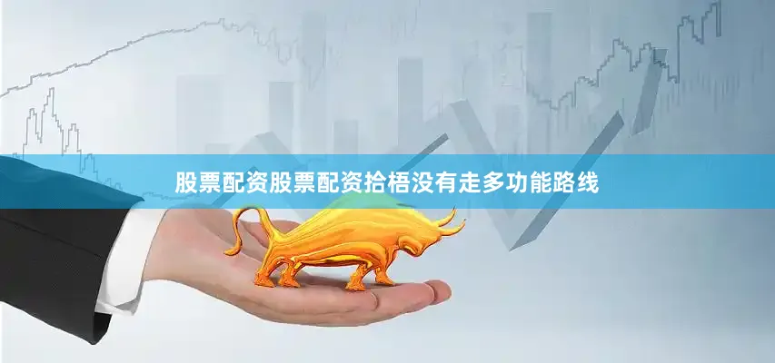 股票配资股票配资拾梧没有走多功能路线